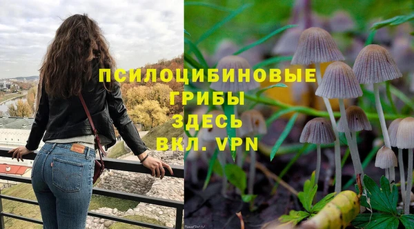 соль ск Богданович