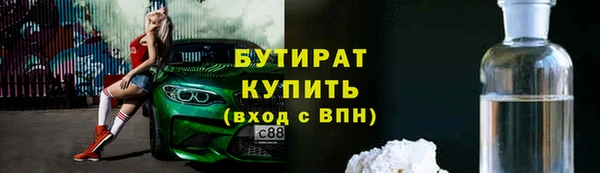 индика Михайловск