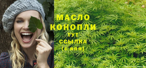 соль ск Богданович