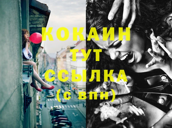 соль ск Богданович